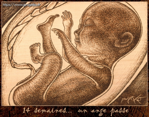 anti-avortement.jpg